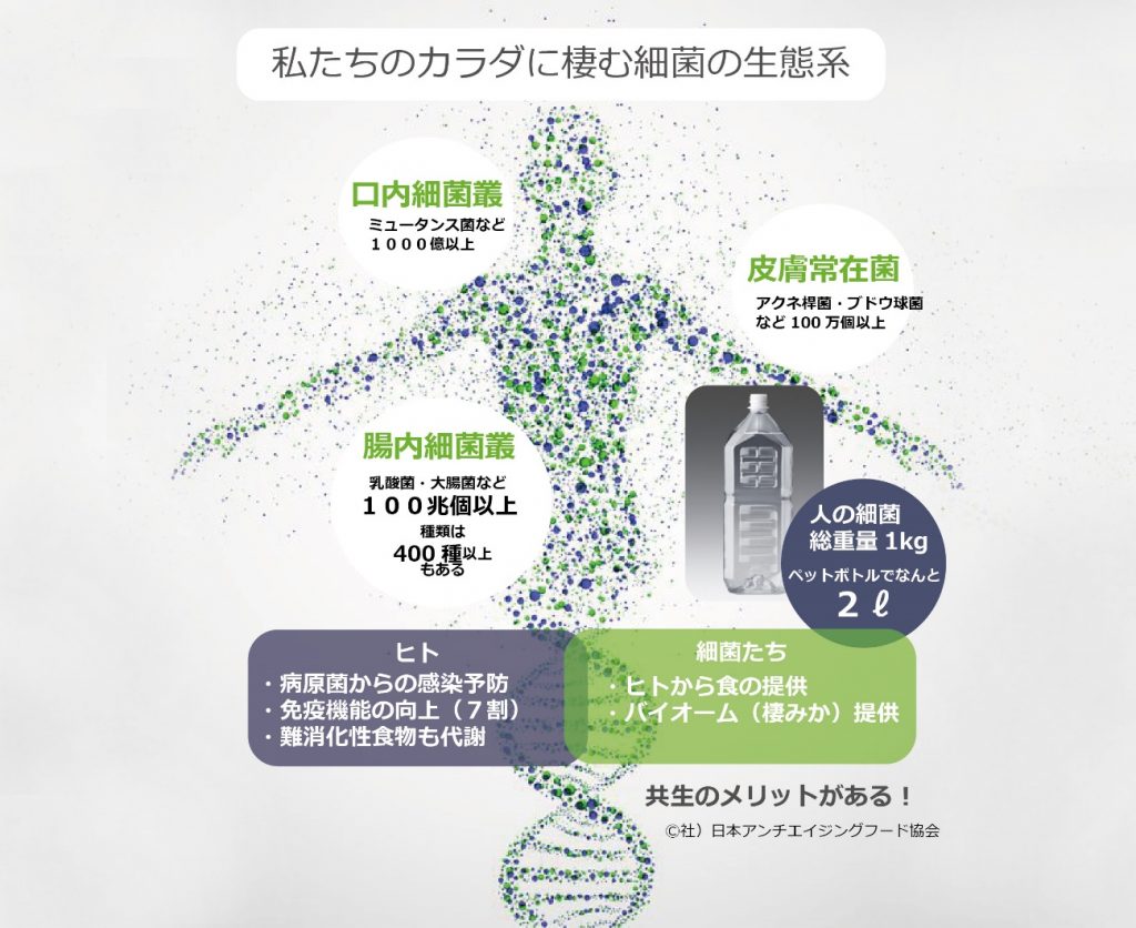 格安人気 ヒトマイクロバイオーム研究最前線 海外最新 常在菌の