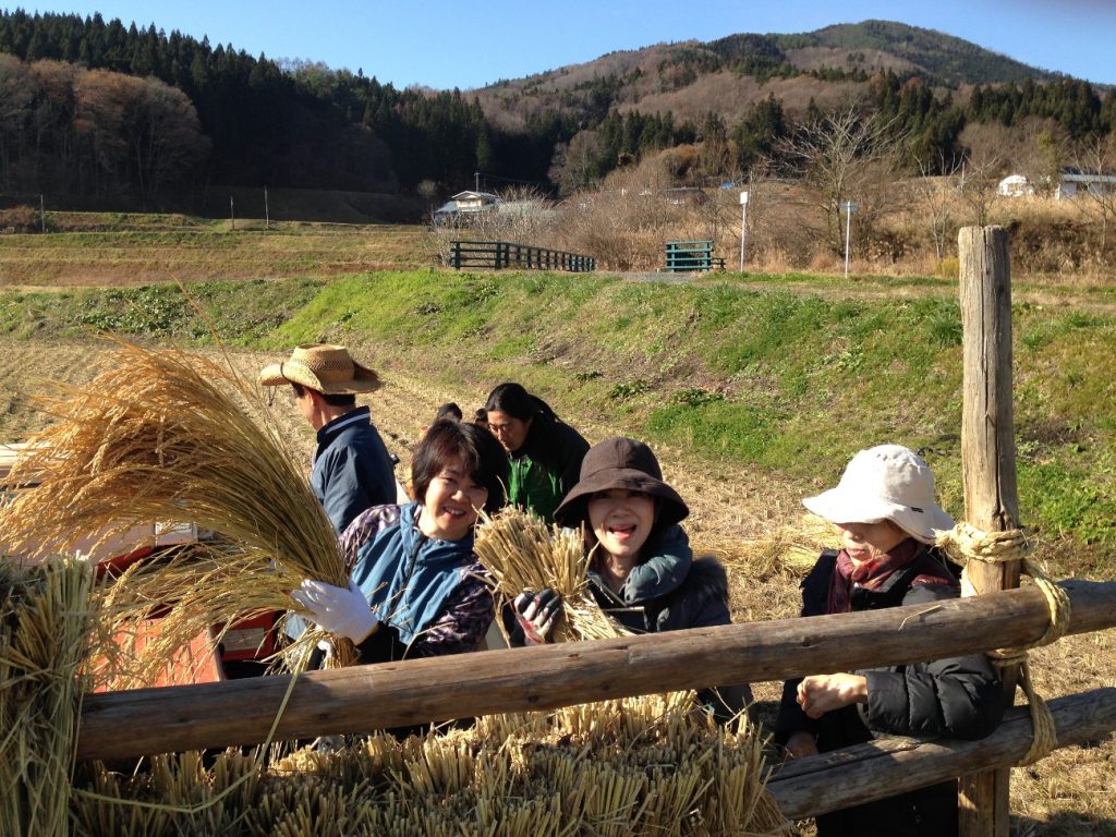 2014  遠野　ｻｻｼｸﾞﾚと大豆収穫体験ツアー