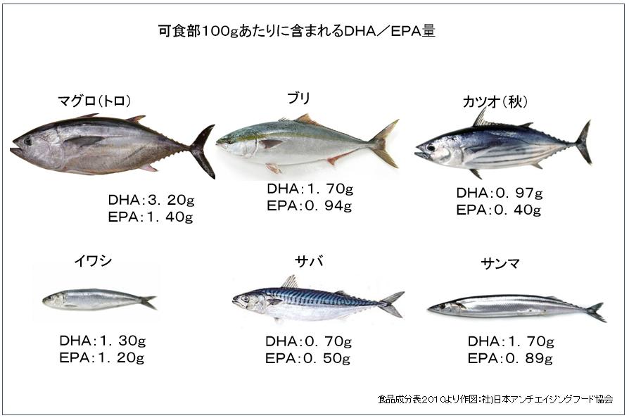 学習能力の高さや長寿に貢献する魚。 縄文時代から食べている「魚食」を見直そう！ | Anti-Aging Food Association