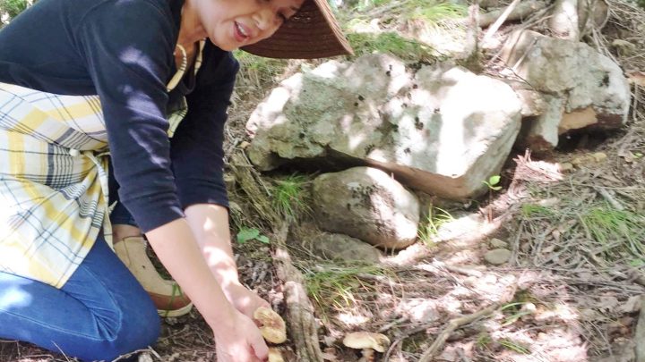 伊那谷の山でキノコ採りをする滝田さん